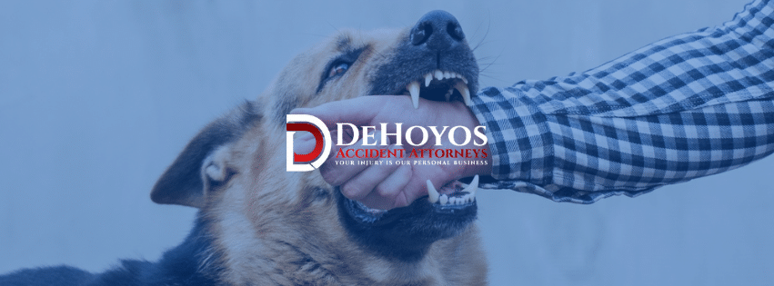 League City dog bite lawyer near me